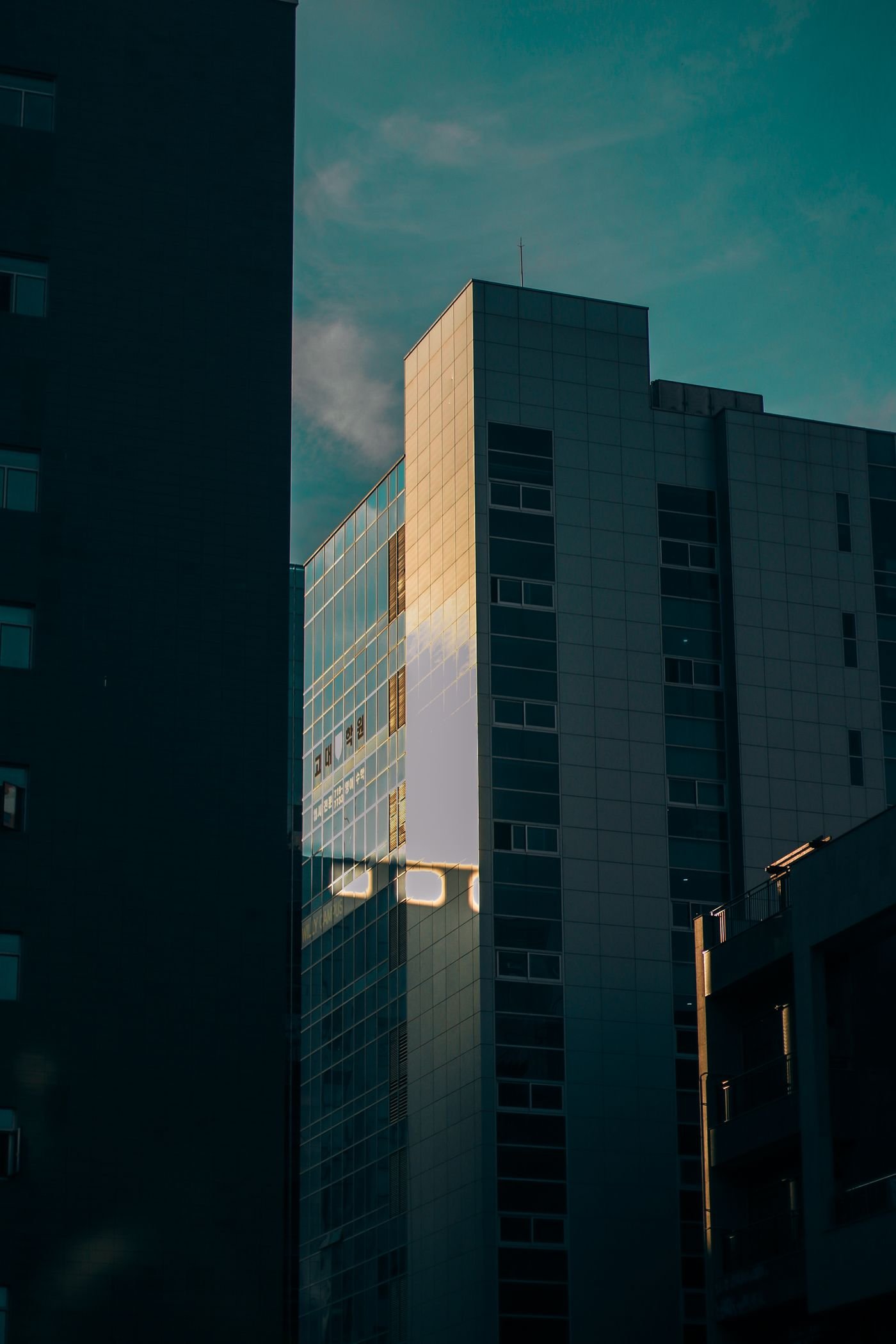 Glass office tower at sunset